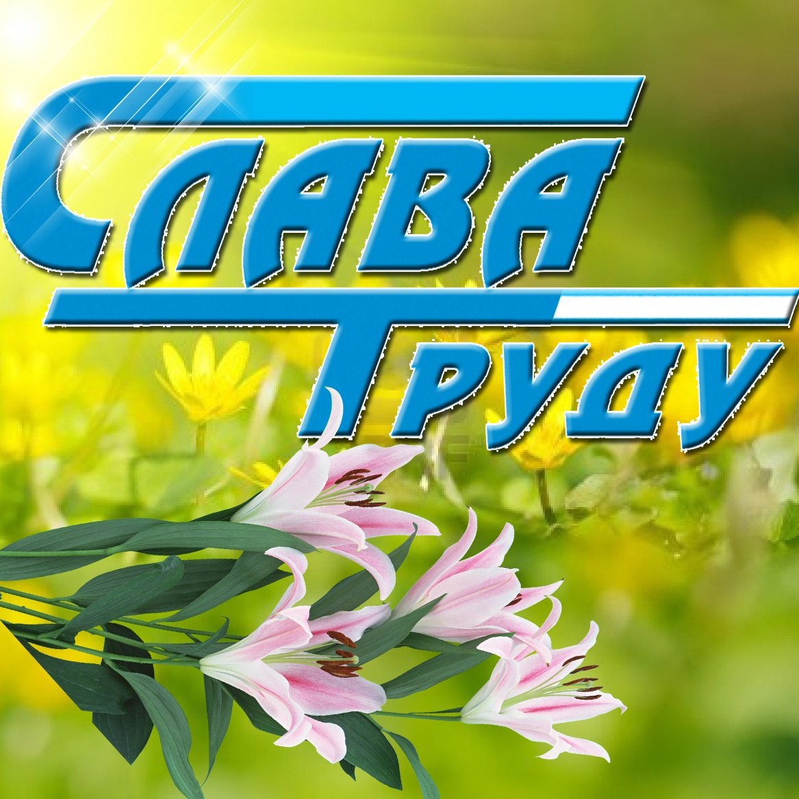 Неделя &amp;quot;Слава труду&amp;quot;.